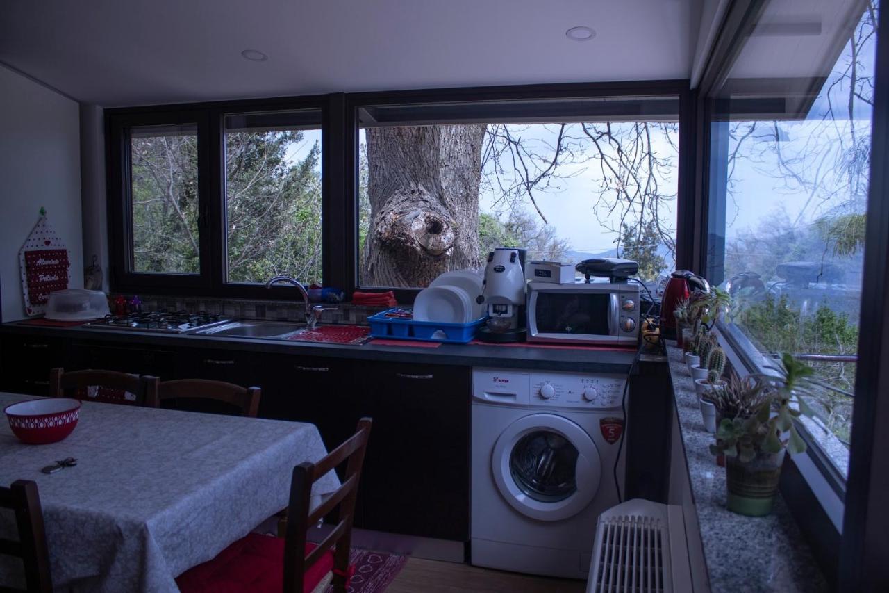 La Casetta Nel Bosco Per Turisti 카스텔부오노 외부 사진